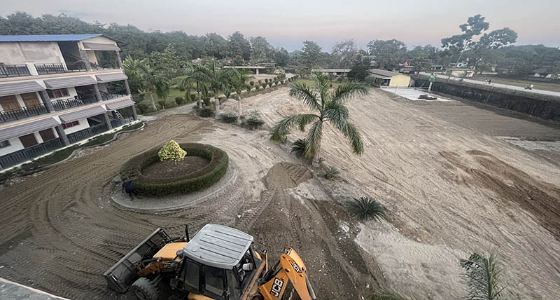landscaping at the nehemia building